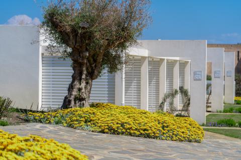 La Pelosa Residence  | Tritt-Sardinia.com