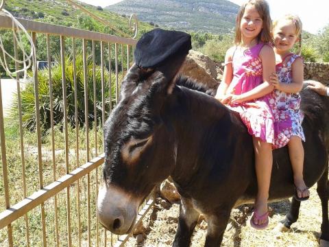 Borgo Corallo Residence | Tritt-Sardinia.com