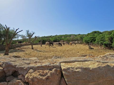 Borgo Corallo Residence | Tritt-Sardinia.com