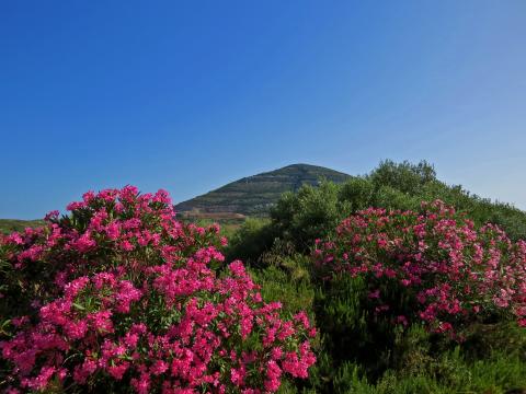 Residence Corallo | Tritt-Sardinia.com