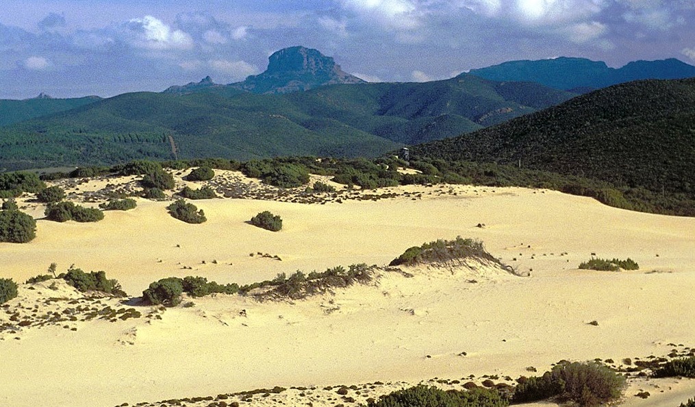 dunes of the beach of Piscinas in South Sardinia