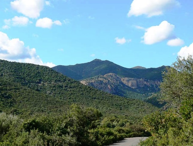 Gutturu Mannu mountains and forest in Sardinia