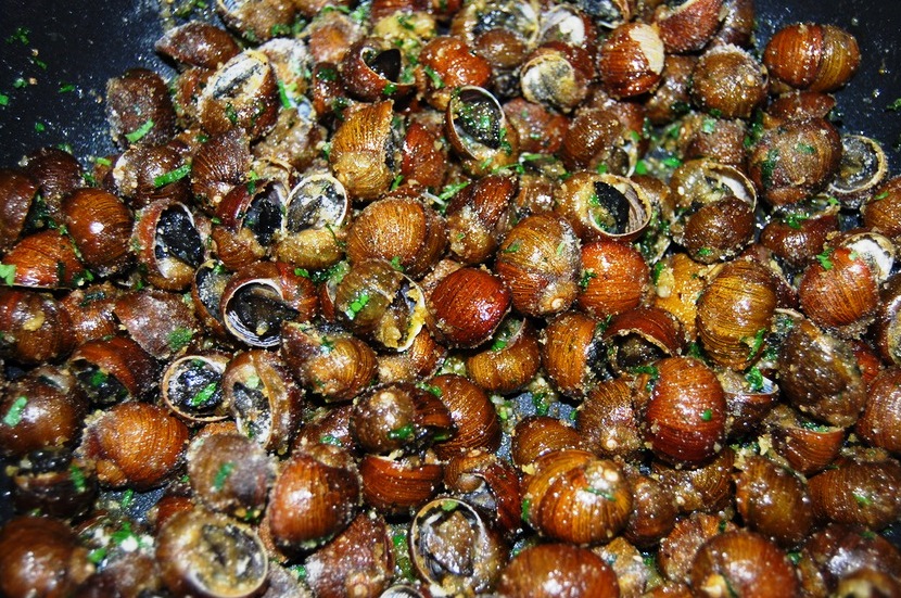 Traditional snails dish from Sassari, Sardinia