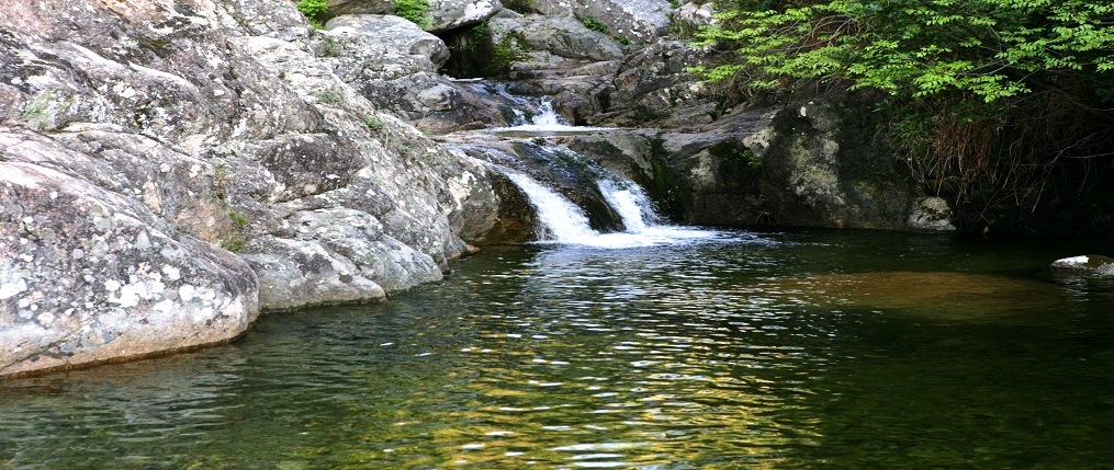 Fordongianus river with hot springs in Sardinia