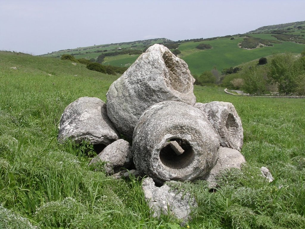 Petrified trees in Sardinia